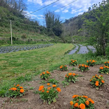 La Casina Rosa Frühstückspension